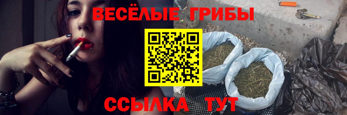 Галлюциногенные грибы прущие грибы  Вход с VPN  Светлоград  Галлюциногенные грибы Cubensis 
